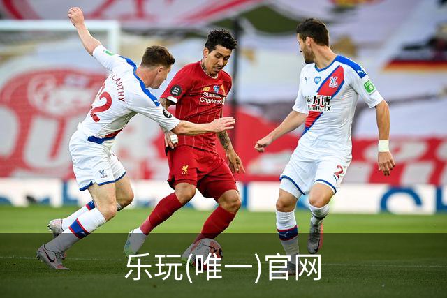 乐玩(唯一)官网公司简介